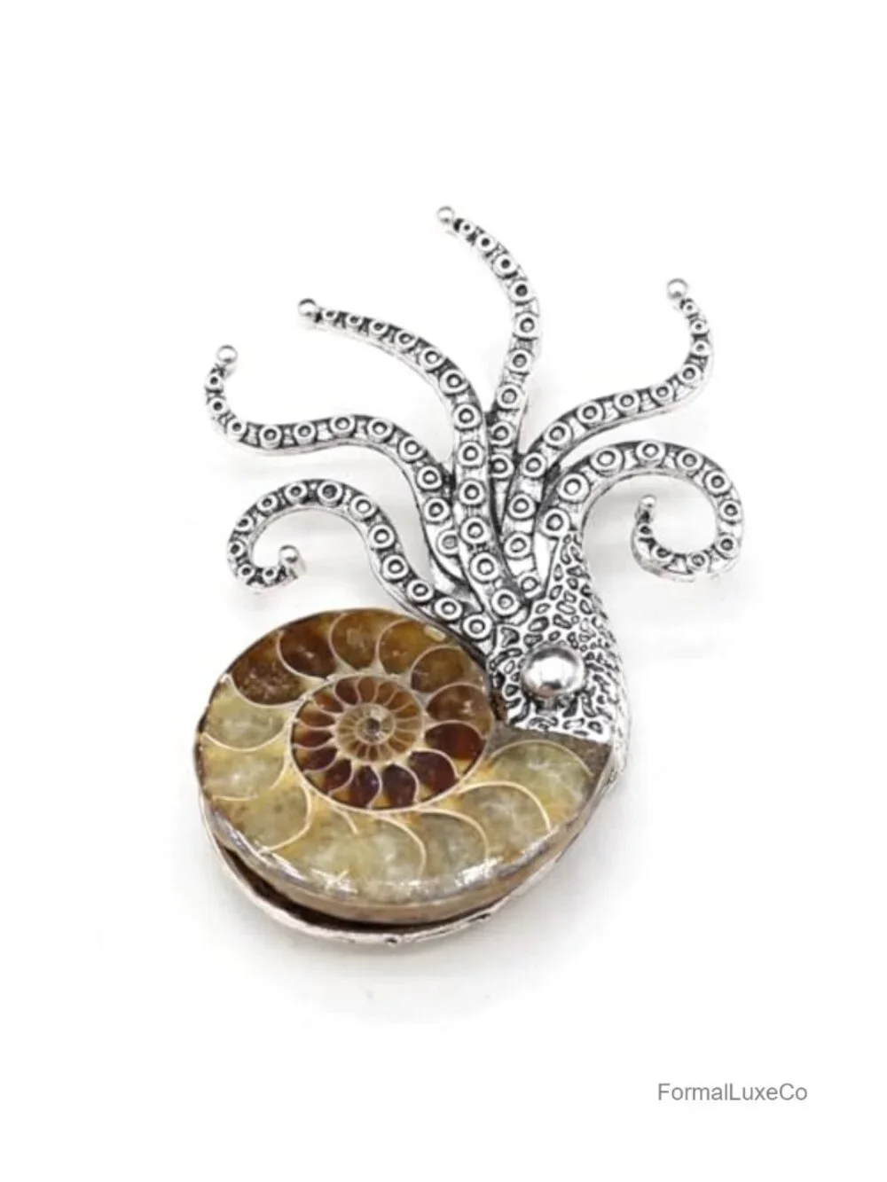 Genuine Ammonite Fossil Brooch, Conch Shell Octopus Shape Apparel Pin